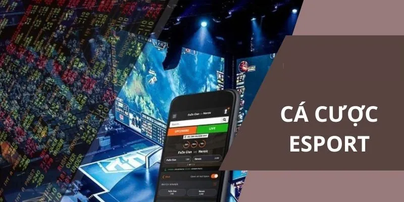 Cá cược Esports cực sôi động cùng nhà cái RR88